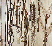 bridles and bits