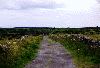 Strae in den Burren, County Clare