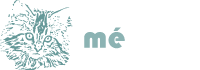 setmisc1me.gif (2517 bytes)