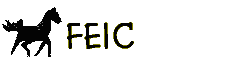 setmisc4view.gif (823 bytes)