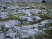 Close-up of the Burren