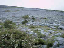 The Burren Landscape