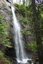 Plodda Falls