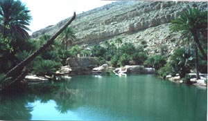 wadi.jpg (19811 bytes)