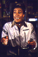 cat1.gif (12636 bytes)