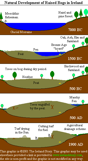 Formation of a hypothetical raised bog [11kB]