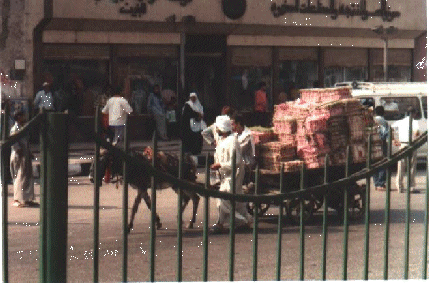 Street scene in Cairo