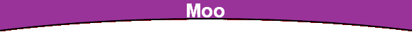  Moo 