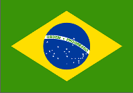 Brazilian Flag