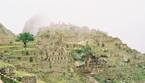 Picture of Machu Picchu