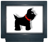 I love Scotty! Lil pooch is sooo light...you do not even know it's there