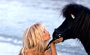 ���----------------------����� �������