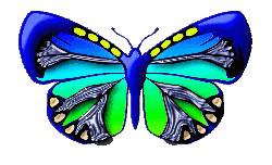 btrfly1.gif