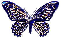btrfly10.gif