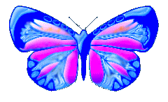 btrfly11.gif