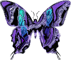 btrfly12.gif