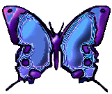 btrfly14.gif