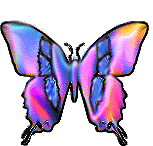 btrfly15.gif