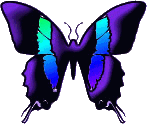 btrfly17.gif