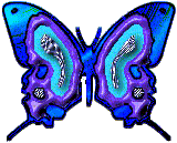 btrfly18.gif