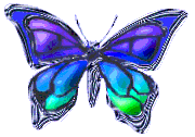 btrfly19.gif