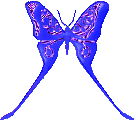 btrfly2.gif