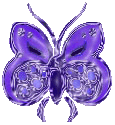 btrfly20.gif