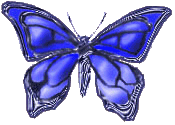 btrfly21.gif