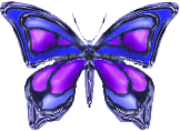 btrfly22.gif