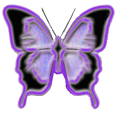 btrfly24.gif