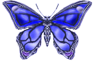 btrfly25.gif