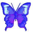 btrfly26.gif