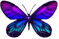 btrfly3.gif
