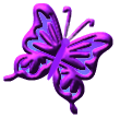 btrfly31.gif
