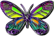 btrfly4.gif