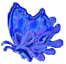 btrfly5.gif