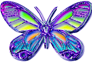 btrfly8.gif