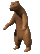bear.gif
