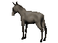 donkeyR.gif