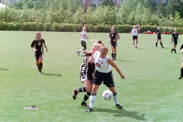 77046552002627214519