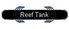 Reef Tank