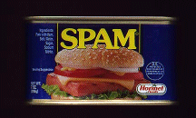 SPAM