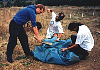 Attack of the blue plastic sheet