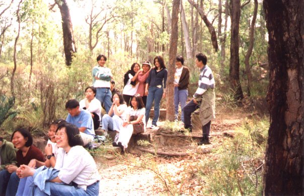 1_10.jpg (72972 bytes)