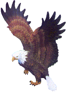 Eagle