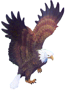 Eagle