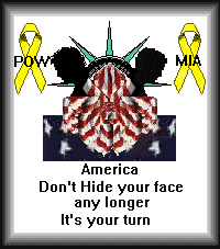 Don't Hide Your Hace America