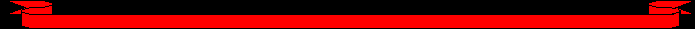 top logo.gif