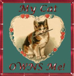 My Cat owns ME!