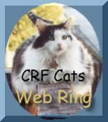 CRF Cats Webring